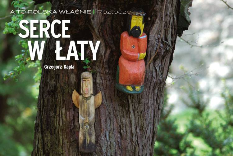 Losowy darmowy artykuł